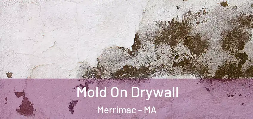  Mold On Drywall Merrimac - MA