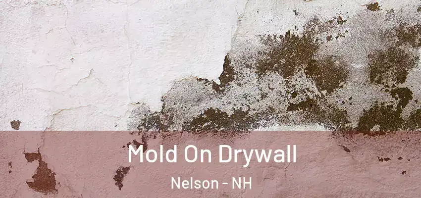  Mold On Drywall Nelson - NH