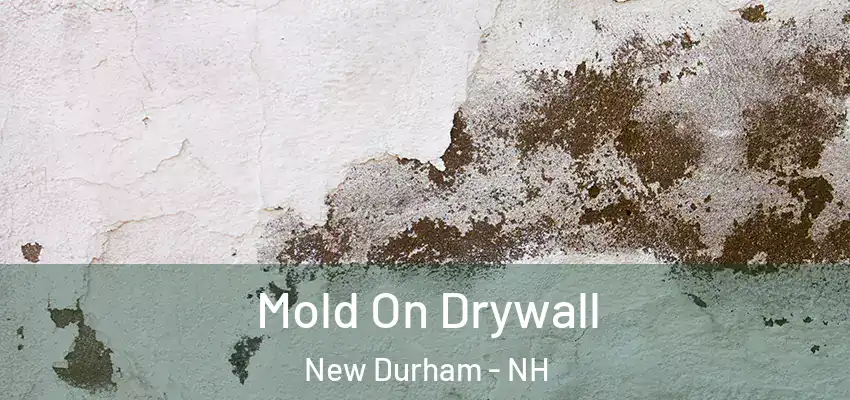 Mold On Drywall New Durham - NH