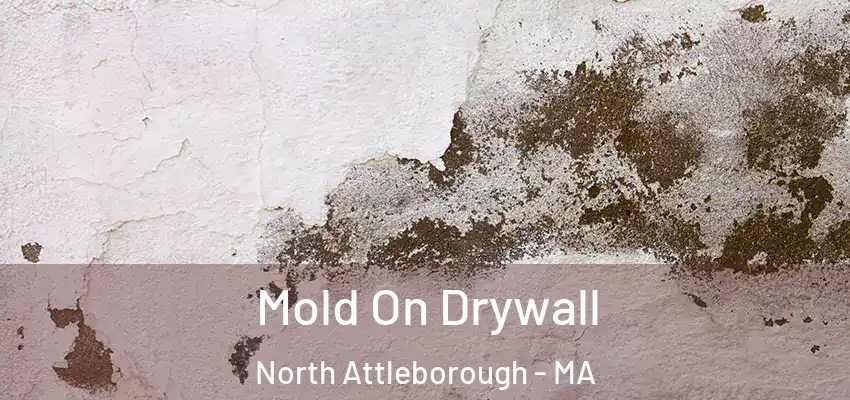  Mold On Drywall North Attleborough - MA