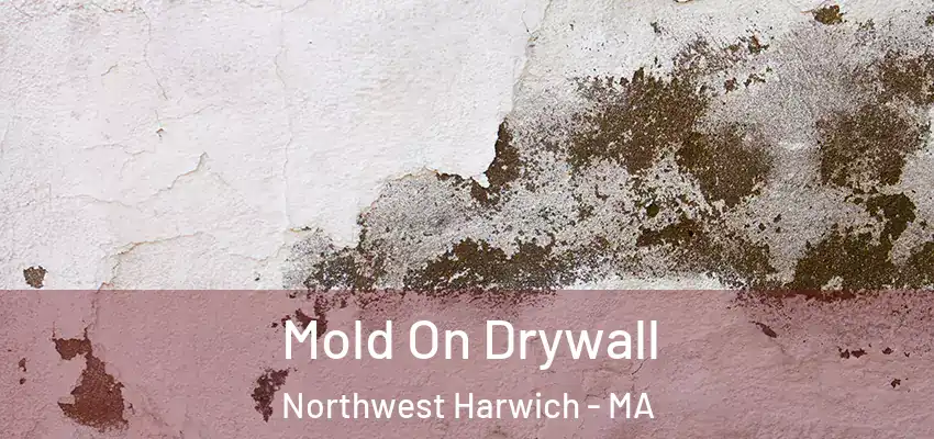  Mold On Drywall Northwest Harwich - MA