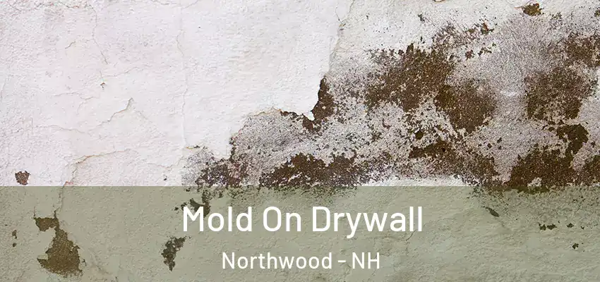 Mold On Drywall Northwood - NH