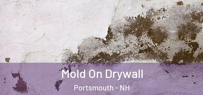  Mold On Drywall Portsmouth - NH