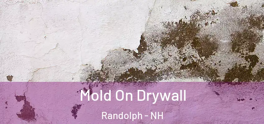 Mold On Drywall Randolph - NH