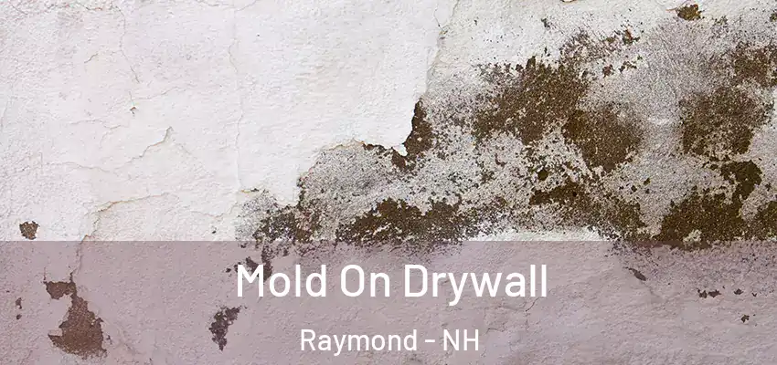 Mold On Drywall Raymond - NH