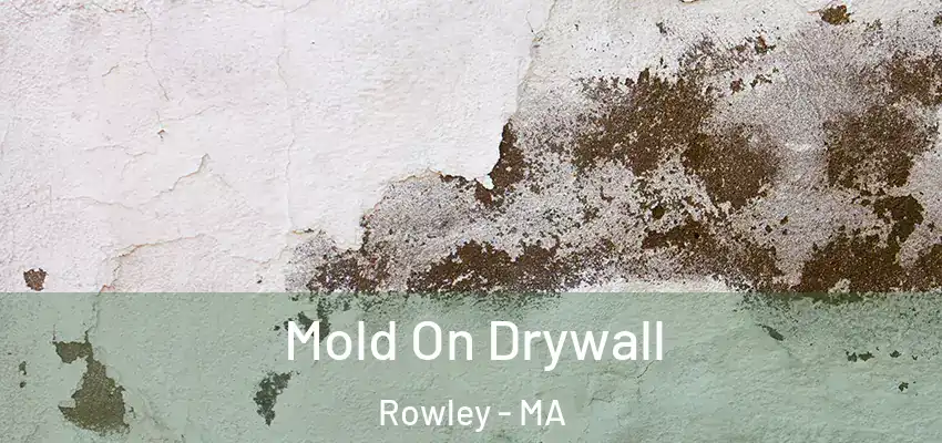 Mold On Drywall Rowley - MA