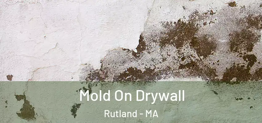 Mold On Drywall Rutland - MA