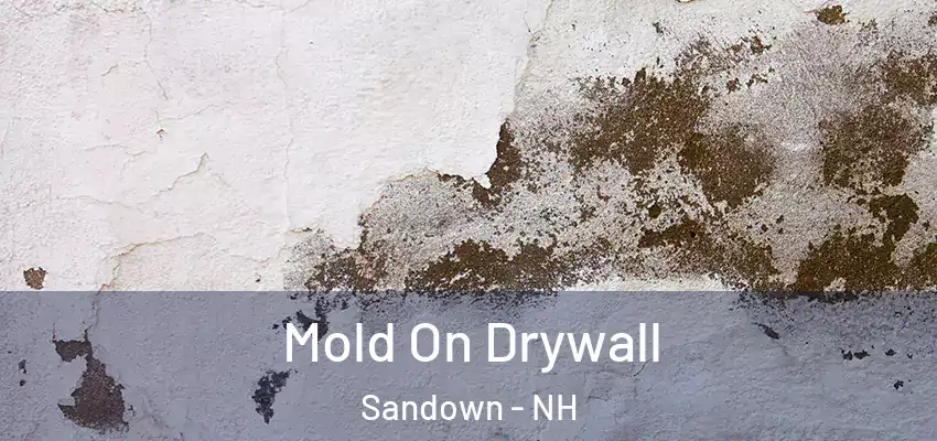 Mold On Drywall Sandown - NH