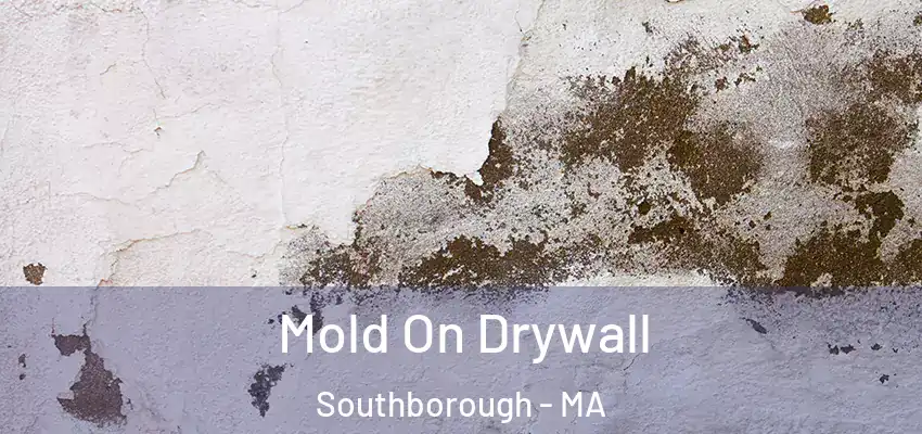 Mold On Drywall Southborough - MA