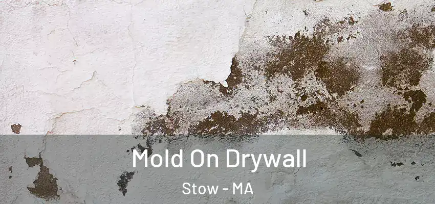 Mold On Drywall Stow - MA