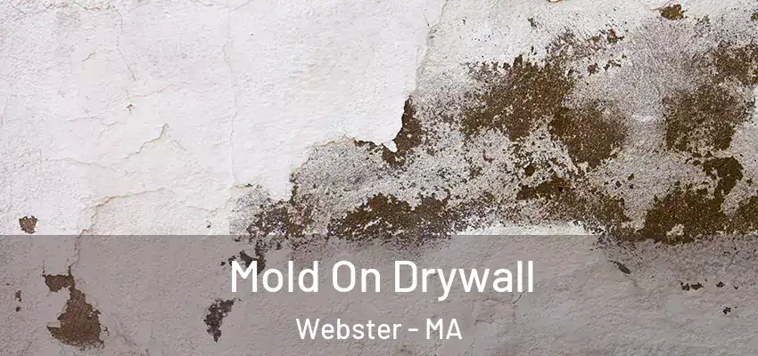 Mold On Drywall Webster - MA