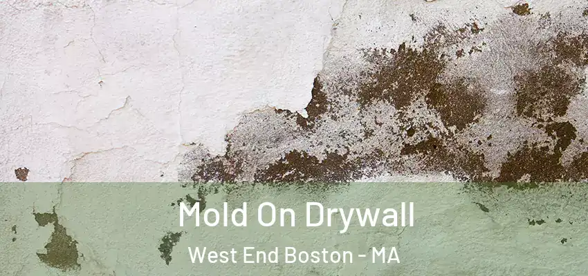  Mold On Drywall West End Boston - MA