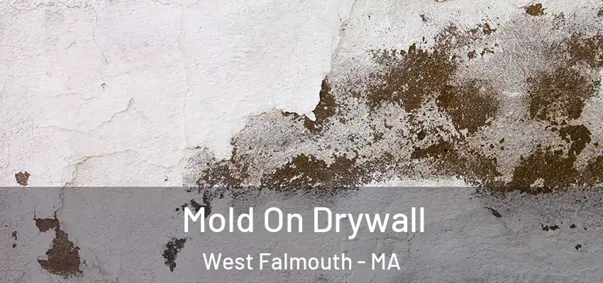  Mold On Drywall West Falmouth - MA