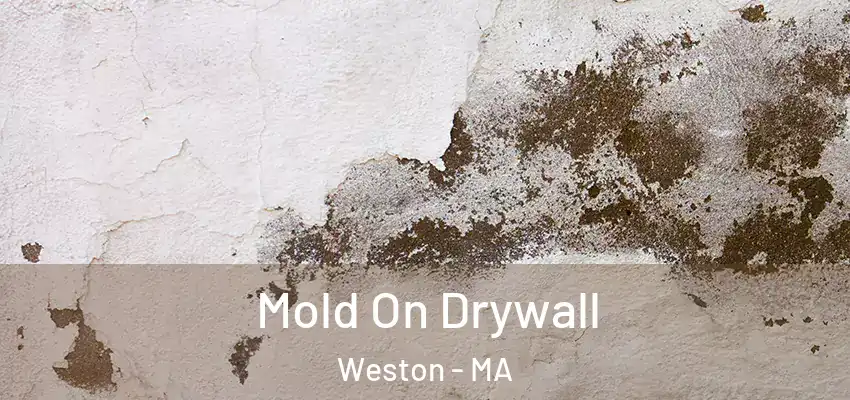 Mold On Drywall Weston - MA