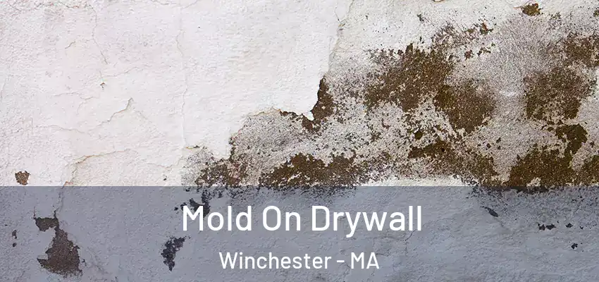  Mold On Drywall Winchester - MA