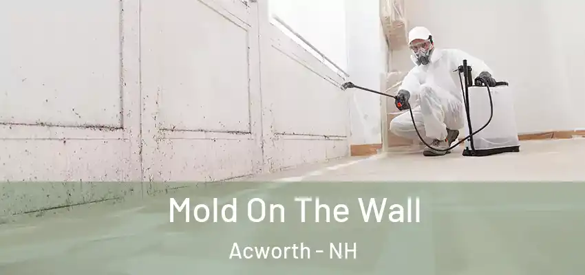  Mold On The Wall Acworth - NH