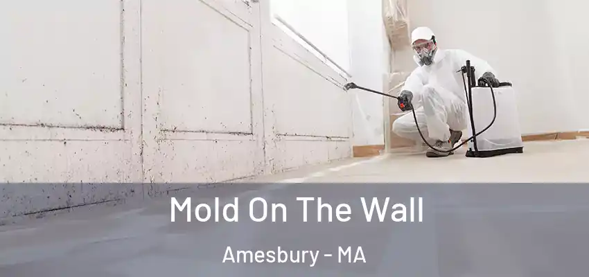 Mold On The Wall Amesbury - MA