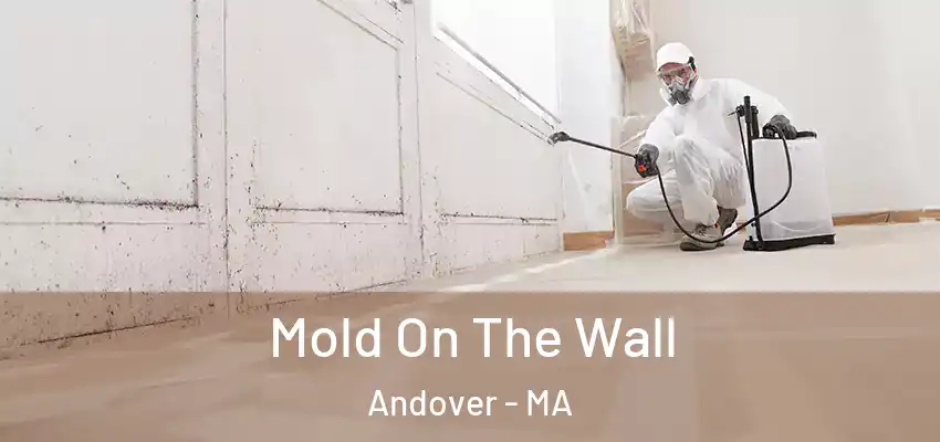 Mold On The Wall Andover - MA