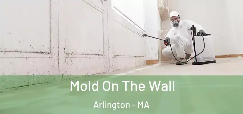 Mold On The Wall Arlington - MA