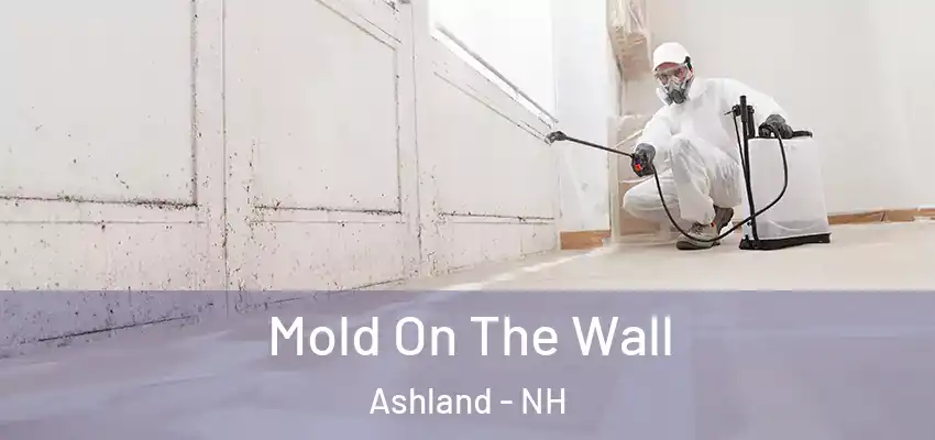  Mold On The Wall Ashland - NH