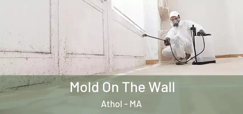 Mold On The Wall Athol - MA