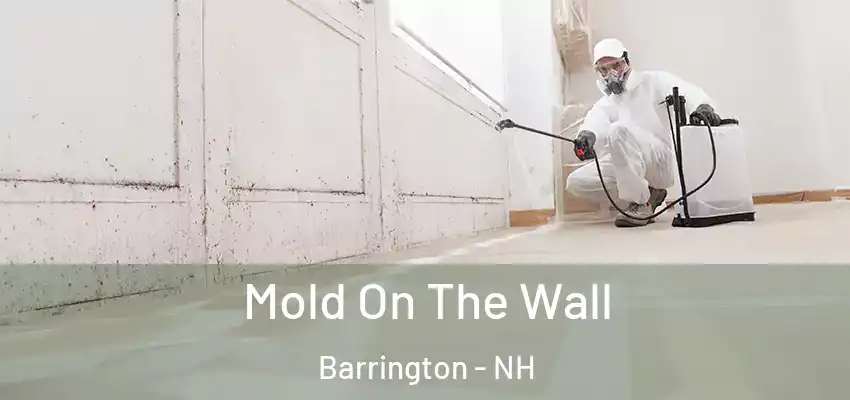 Mold On The Wall Barrington - NH