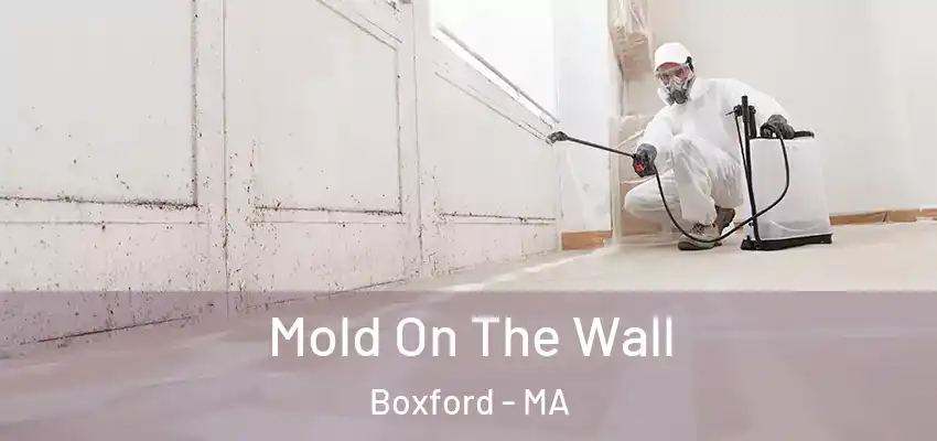  Mold On The Wall Boxford - MA