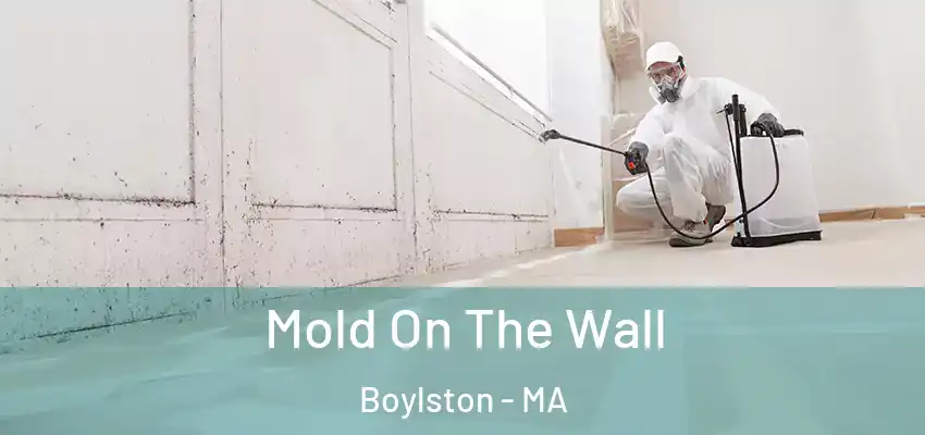  Mold On The Wall Boylston - MA