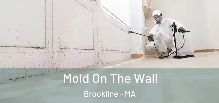 Mold On The Wall Brookline - MA