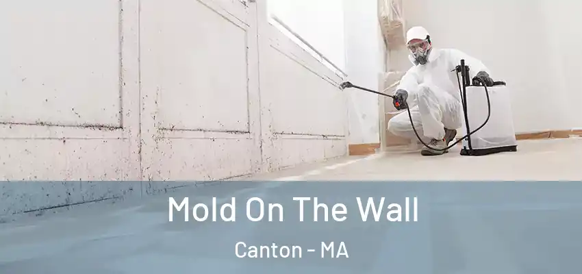  Mold On The Wall Canton - MA