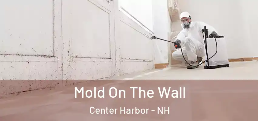 Mold On The Wall Center Harbor - NH