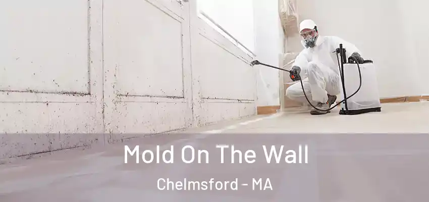 Mold On The Wall Chelmsford - MA
