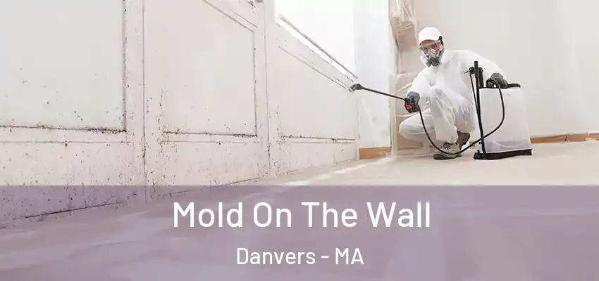 Mold On The Wall Danvers - MA