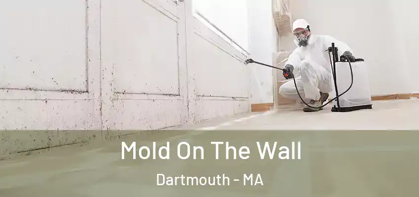  Mold On The Wall Dartmouth - MA