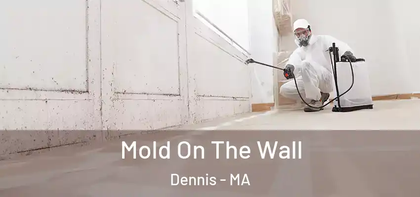 Mold On The Wall Dennis - MA