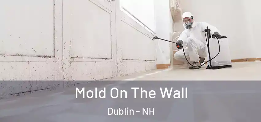  Mold On The Wall Dublin - NH