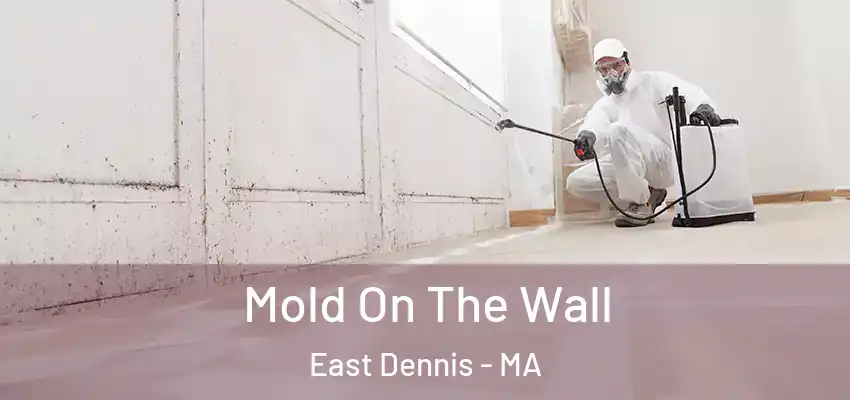  Mold On The Wall East Dennis - MA