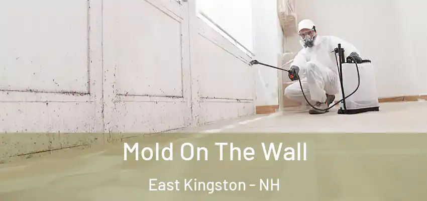 Mold On The Wall East Kingston - NH