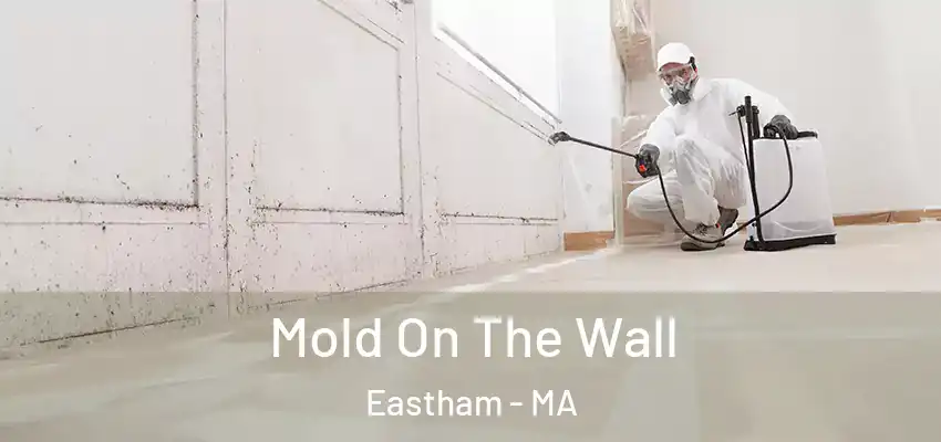  Mold On The Wall Eastham - MA
