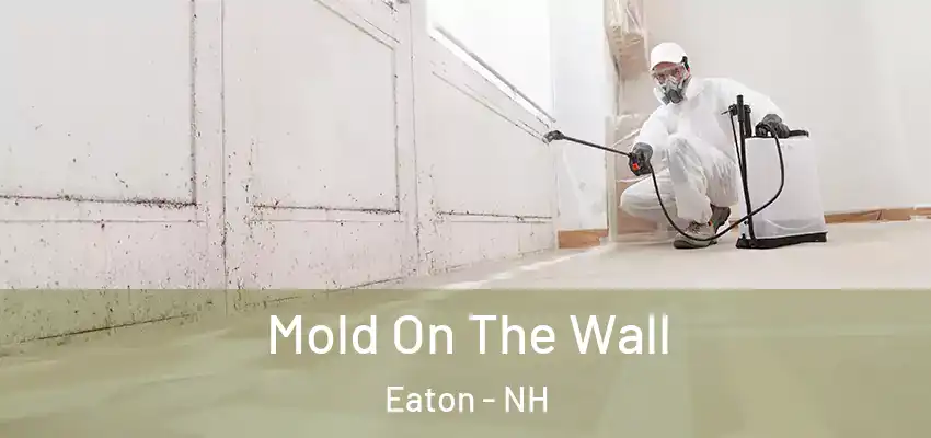 Mold On The Wall Eaton - NH