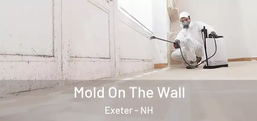  Mold On The Wall Exeter - NH