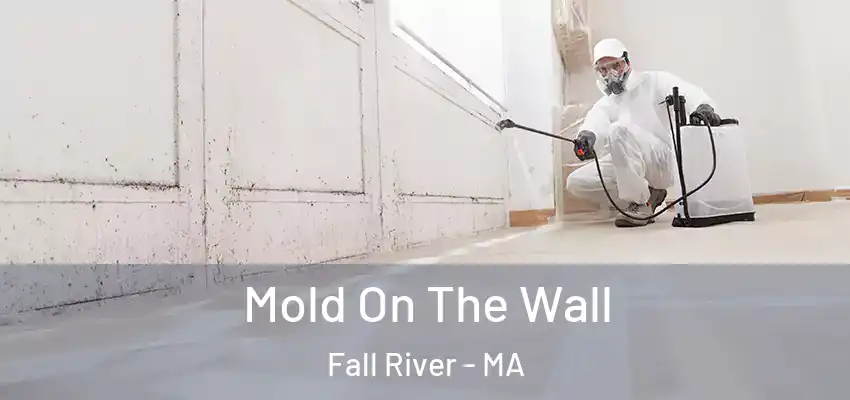 Mold On The Wall Fall River - MA