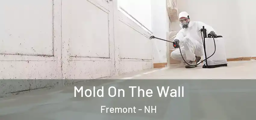 Mold On The Wall Fremont - NH