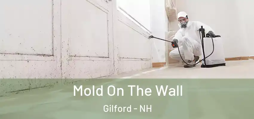 Mold On The Wall Gilford - NH