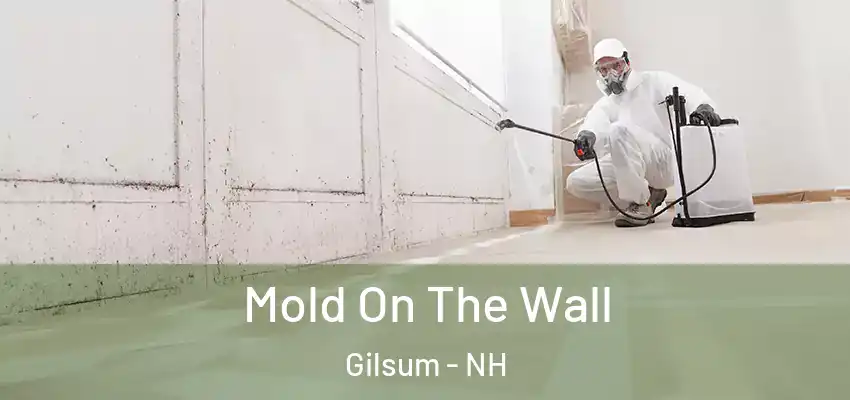  Mold On The Wall Gilsum - NH