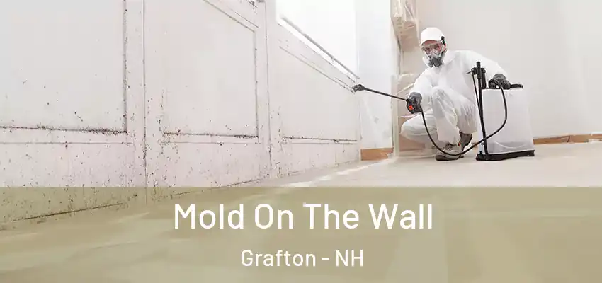  Mold On The Wall Grafton - NH