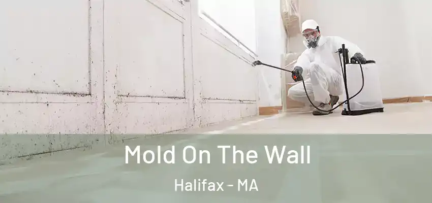  Mold On The Wall Halifax - MA