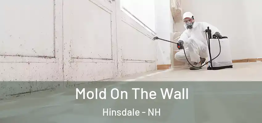 Mold On The Wall Hinsdale - NH