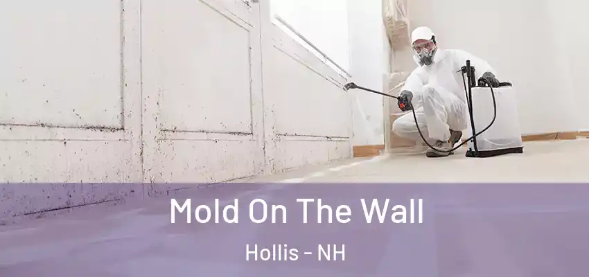 Mold On The Wall Hollis - NH