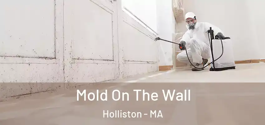 Mold On The Wall Holliston - MA